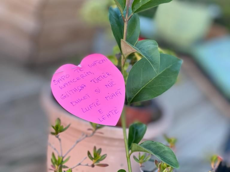 Fushatë sensibilizmi për Kancerin e Gjirit