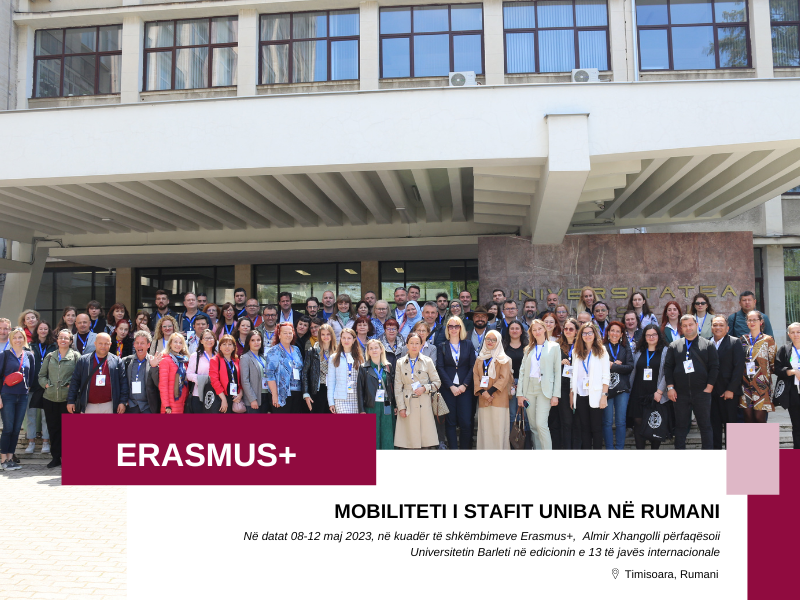 Erasmus+ në Timisoara, Rumani