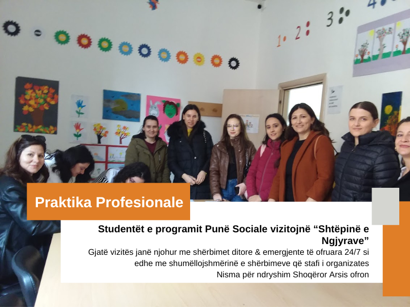 Praktika Profesionale - Programi Puna Sociale