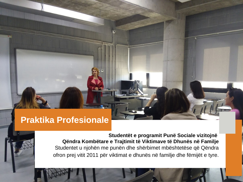 Praktika Profesionale - Programi Puna Sociale